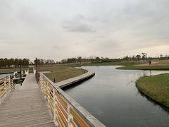 -春花秋色城市公园