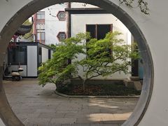 -上海醉白池公园