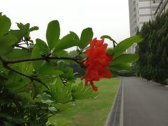 -上海市第三女子中学