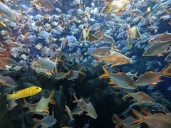 -成都浩海立方海洋公园