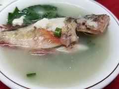 -蛇口康乐快餐鱼仔档(翠苑小区店)