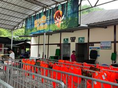 -千岛湖九龙溪漂流