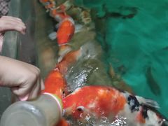 -多彩贵州城极地海洋世界