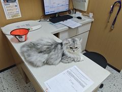 -瑞派康怡24h宠物医院·犬猫医疗中心·微创绝育(瑞景分院)