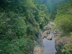 -大奇山国家森林公园
