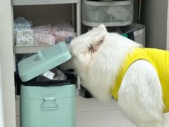 -怪兽屋·羊驼·猫咖·狗咖(俊华广场店)
