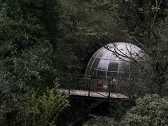 -龙苍沟森林公园