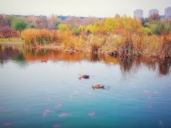-前关湿地公园
