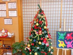 -猫十亿·布偶金渐层·曼基康矮脚猫舍(青年路店)