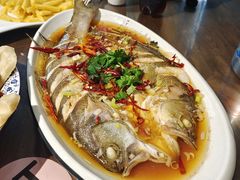 清蒸大鲈鱼-向民炒鸡老店(金泰华府店)