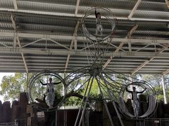 -泉州海丝野生动物世界