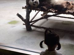 -西安秦岭野生动物园