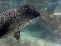 -福州罗源湾海洋世界旅游区