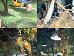 -绿色星球动物主题公园