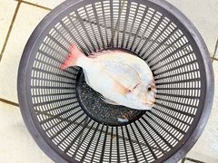 -双天海鲜楼 · 43年老字号