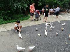-燕塞湖鸟语林景区