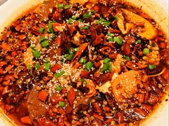 毛血旺-悦海·家宴·冰花皮皮虾大锅贴(宝龙店)