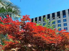 -W FITNESS 威尔仕健身·游泳(七宝店)