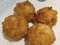 -丁老爷子苏香圆