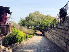 -胡里山炮台