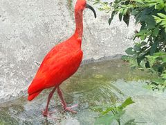 -武汉动物园