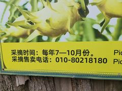 -呀路古热带植物园