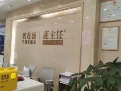 -碧莲盛·不剃发植发