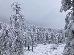 -瓦屋山景区