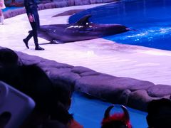 -华夏文旅海洋公园