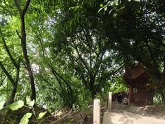 -龙泉洞(沙坪坝区)