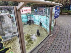 -柳州市动物园