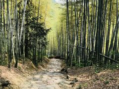 -众神白水涧景区