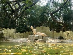 -广州长隆野生动物世界