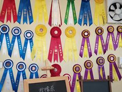 -柴犬高等学院·狗咖·柴犬售卖·宠物训练