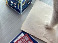 -宠颐生汉谟拉比宠物医院