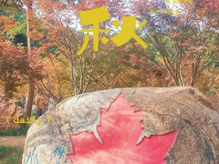 -广州市帽峰山景区