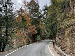 -江西阳明山国家森林公园
