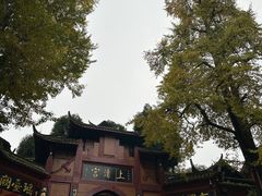 -青城山