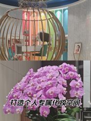 -奥本瑜伽·普拉提