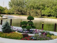 -大望京公园