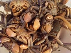 -阿马蛋汤·宁波小海鲜(总店)