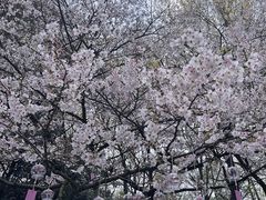 -杭州少年儿童公园