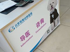 -北京观赏动物医院·24小时大型综合·猫专科·异宠专科