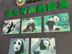 -南门涮肉(通州大船店)