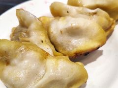 鲜肉锅贴-共和春(甘泉路店)
