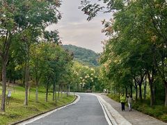 -南京市江宁方山