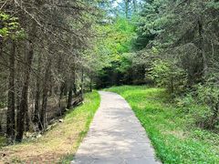 -芦芽山旅游度假区
