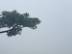 -洛阳白云山景区
