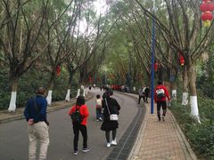 景点-滴水岩森林公园