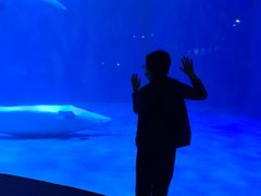 -青岛海底世界-水族馆